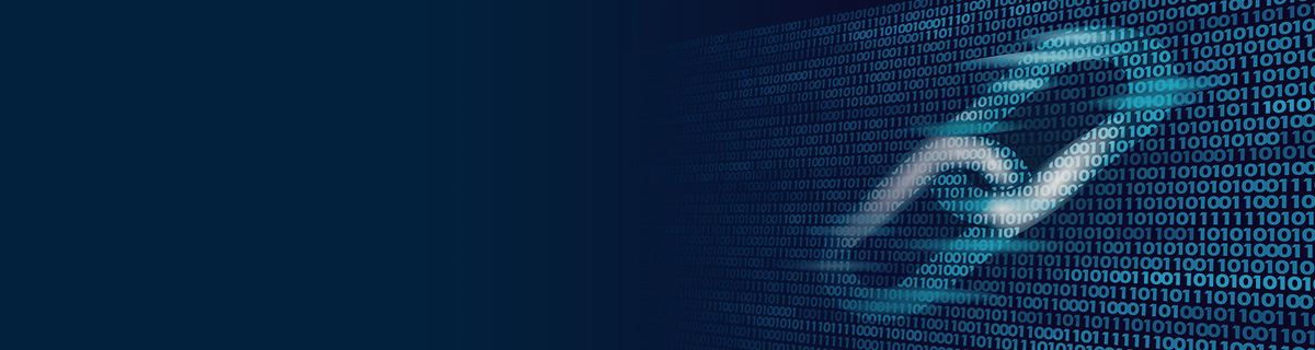 Help achieve DISP accreditation by implementing and maintaining the Essential Eight, and the Top Four security controls