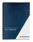 Fraud Prevention & IT Security