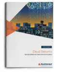 Cloud Security Service Options for Cloud Service Providers
