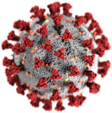 Coronavirus disruption affects the ability to visit third party suppliers